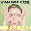 WiMAXのギガ放題・月額料金を徹底比較