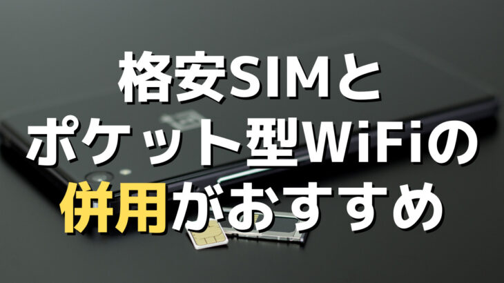 格安SIMとポケット型WiFiの併用がおすすめ